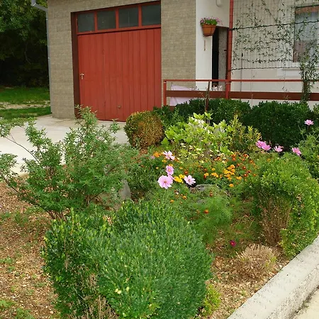 Apartment Olga 1